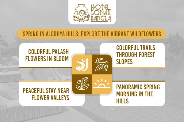 hotels in Ajodhya Pahar