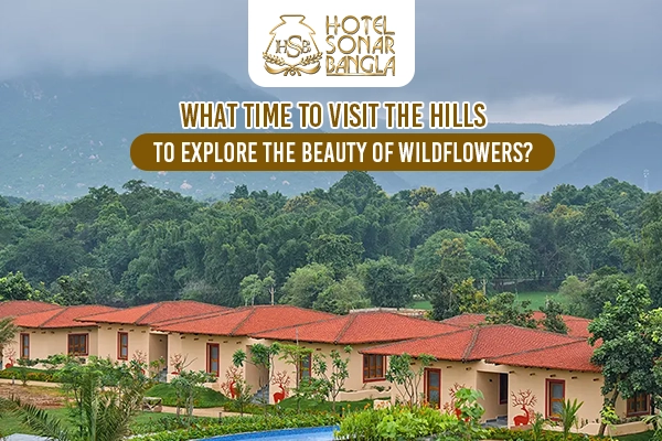 hotels in Ajodhya Pahar