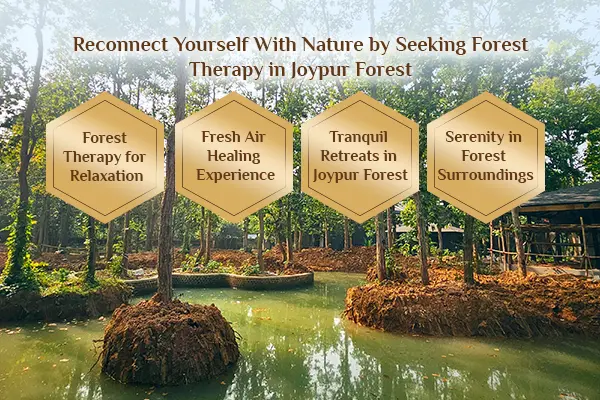 resort in Joypur Forest