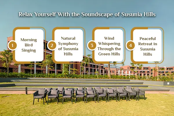 Hotels in Susunia Hills 